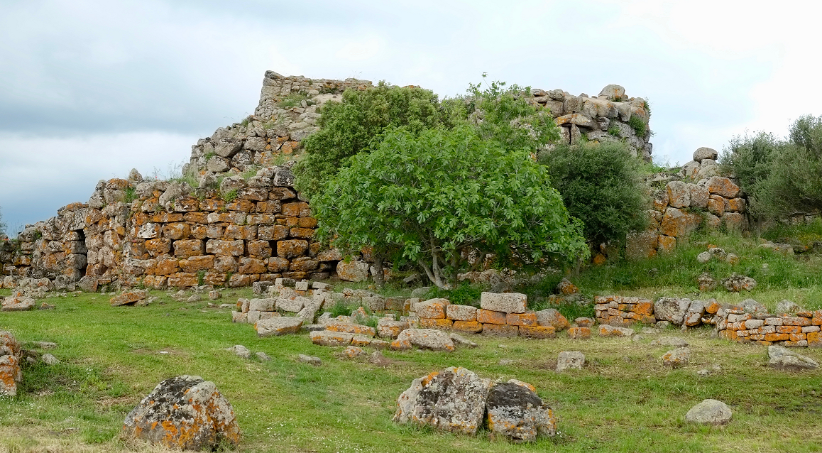 Natuur op Sardinie