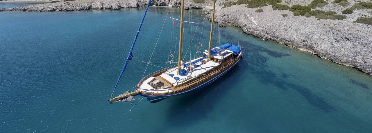 Cabine charter